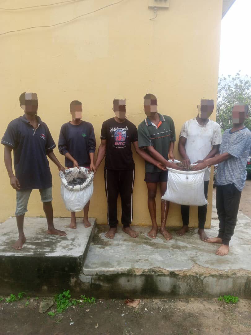 POLICE NAB 6 SUSPECTED CULTISTS, DRUG DEALERS IN A’IBOM