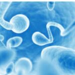 Sleeping naked boosts sperm formation physicians