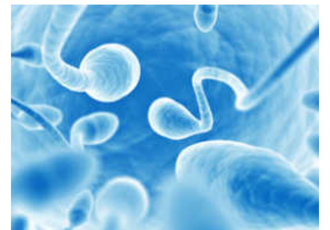 Sleeping naked boosts sperm formation physicians