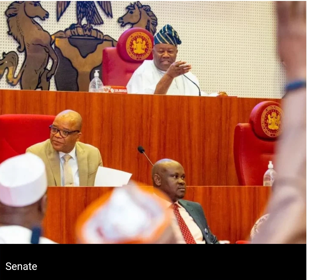 Senate postpones ministerial screening till Wednesday29th October 2024