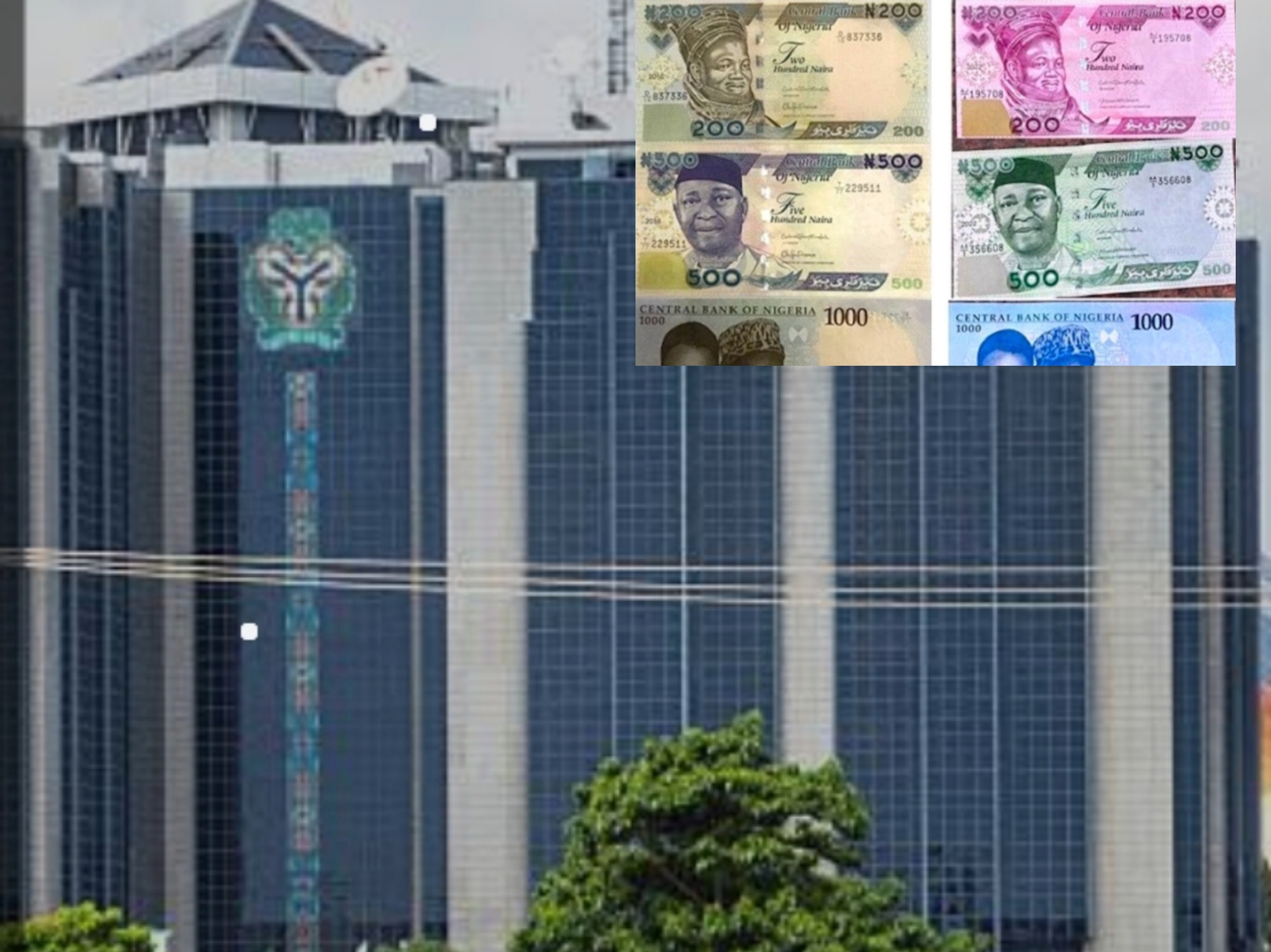 Old, redesigned naira notes remain valid — CBN13th December 2024