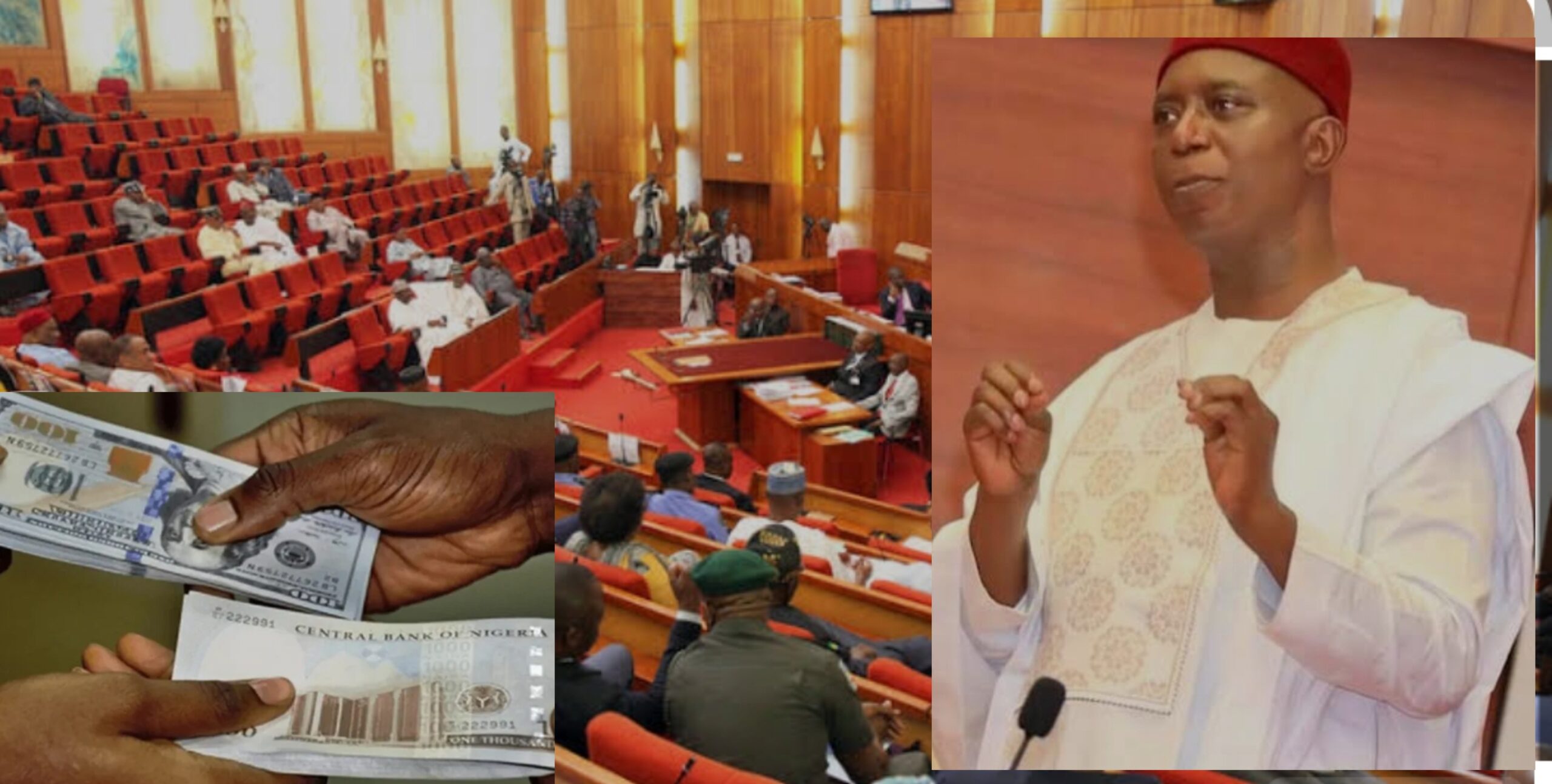 Prohibition of Foreign Currency Use in Nigeria: Senate Bill Scales First